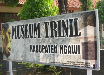 Museum Trinil